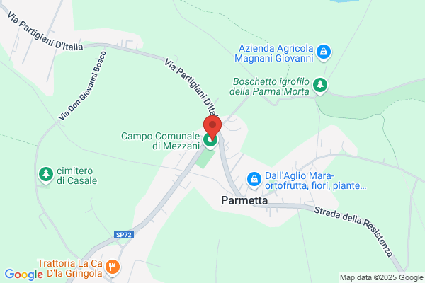 Municipio Di Mezzani