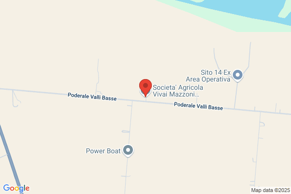 Vivai Mazzoni