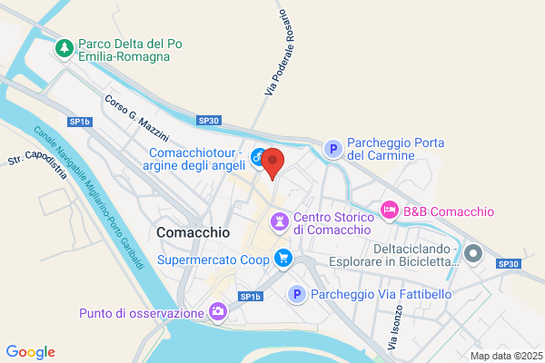 Fogli Domenico