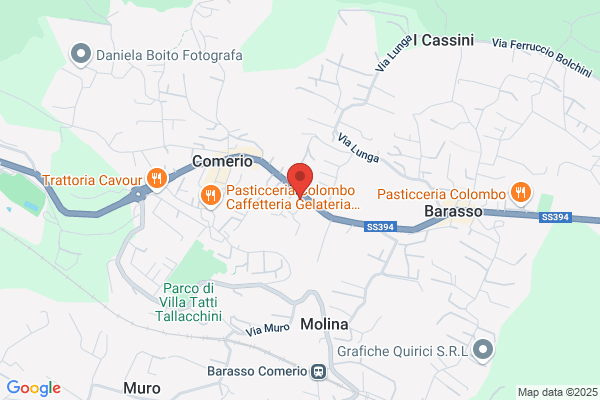 Mentasti Scrittrice, Interprete e Traduttrice