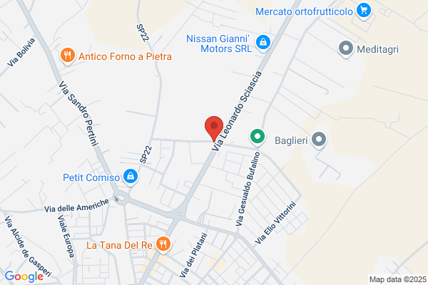 Licitra Revisione e Servizi
