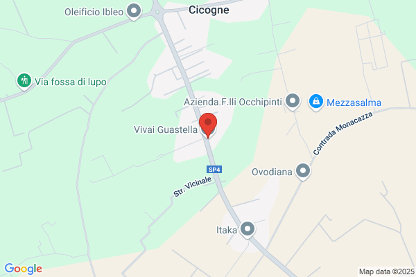 Guastella Rosario