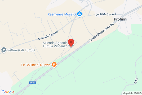 Turtula & Co