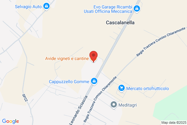 Avide Srl