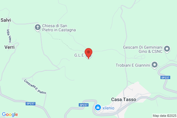 G.L.E. Di Trisciani Giovanna