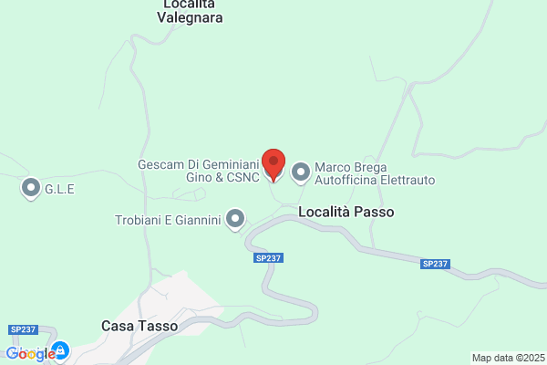 Gescam Di Geminiani Gino & C. S.N.C.