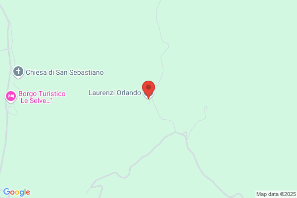 Laurenzi orlando
