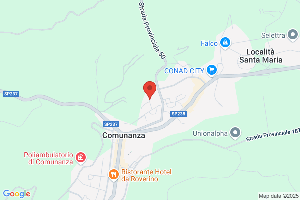 Real Service Di Cozzi Maria Grazia