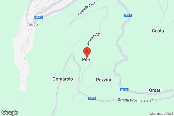 Pezzin  Ermerino