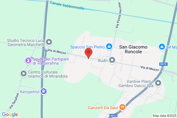 Goldoni F.Lli Aldo & Rino (S.N.C.)