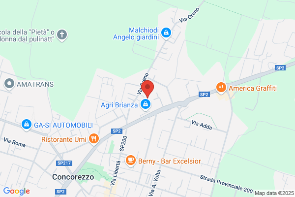 Fumagalli Aldo