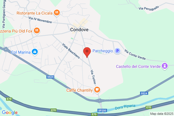 Valsusa Gestioni e Servizi