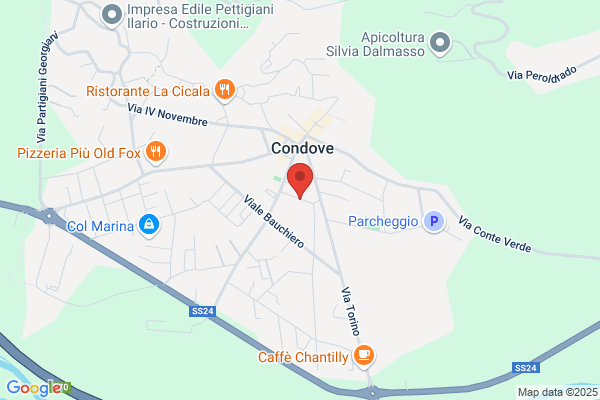 Napoleone Sport Di Bordoni E C. (S.A.S.) sig.