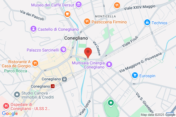Cattolica Assicurazioni Conegliano - della Giustina G. e Tonon R. Sas