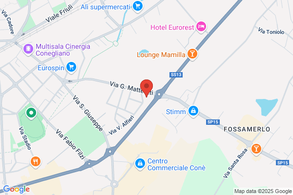 Finanziaria Internazionale Securitisation Group S.P.A.