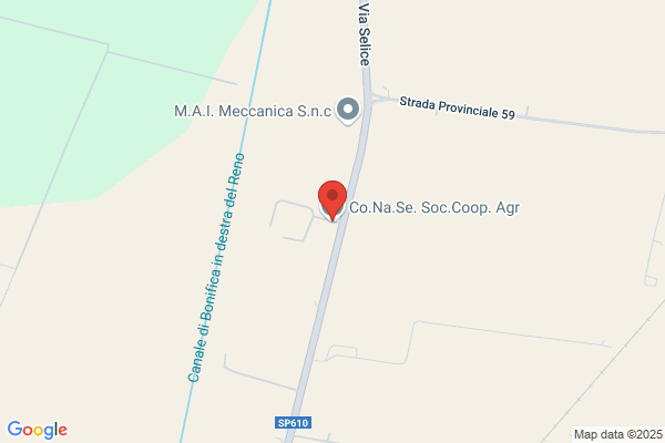 Co.Na.Se.