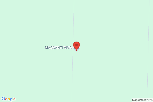 Maccanti & Bonsi