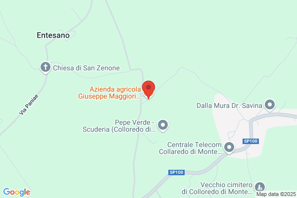 Maggiori anselmo