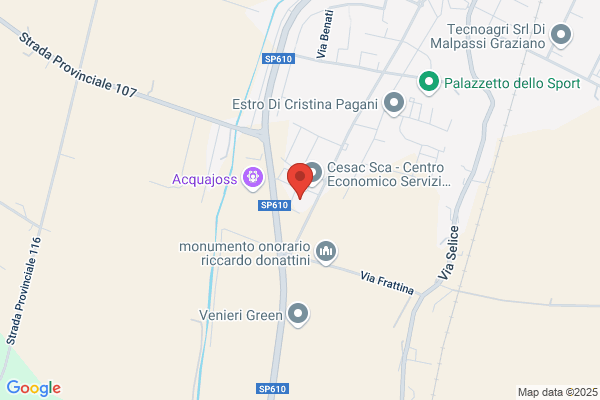 Piatesi Gaudenzi ida