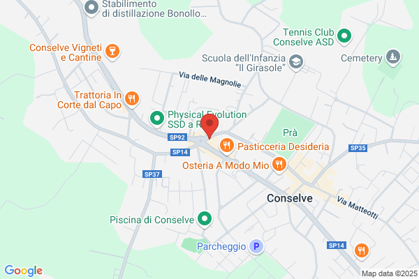 Masiero ireneo