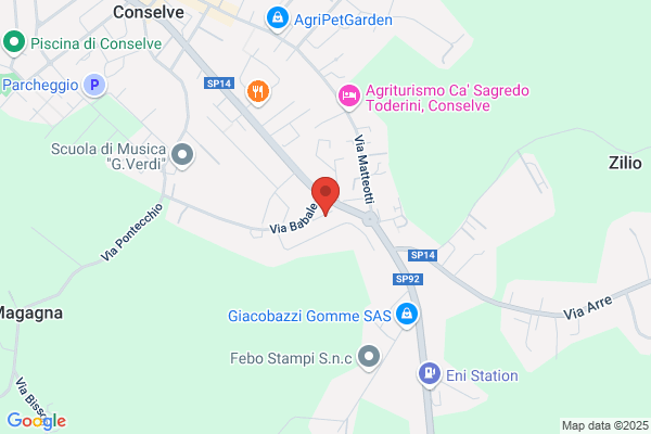 Gatto Cristina