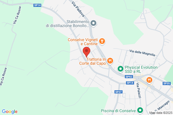 Tipografia Regionale Veneta(S.N.C.)