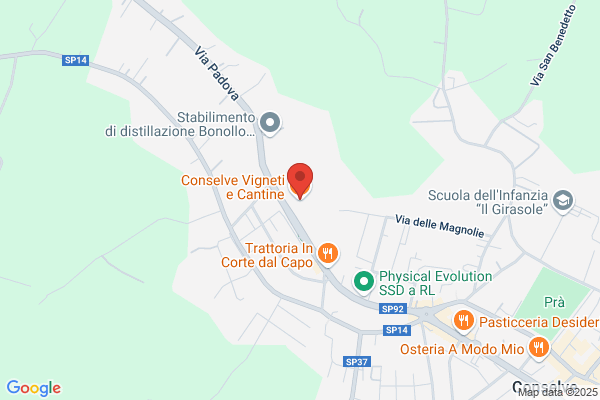 Cantina Sociale Del Conselvano S.C.A.R.L.