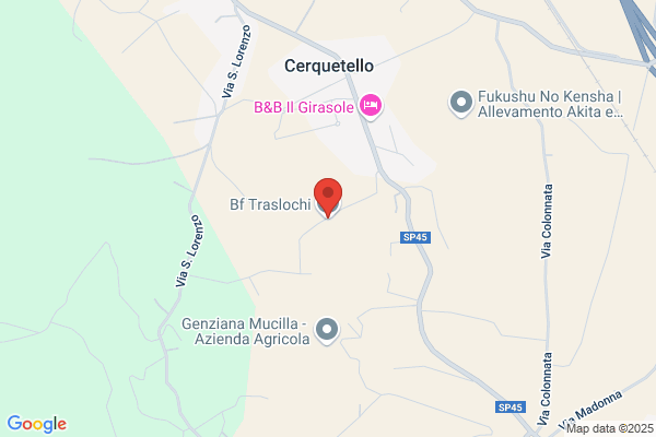 Bf Traslochi