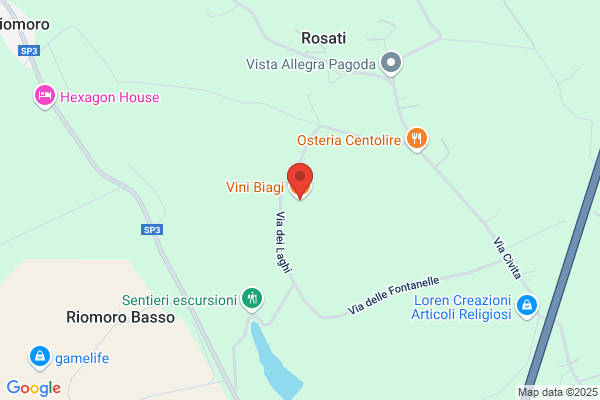 Vini Biagi