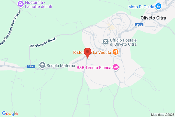 Senese Dott. Gioele Odontoiatra Centro Dental Protesico