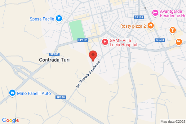Ristorante Pizzeria Anima e Core