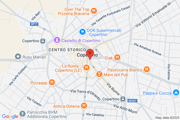 Max Srl