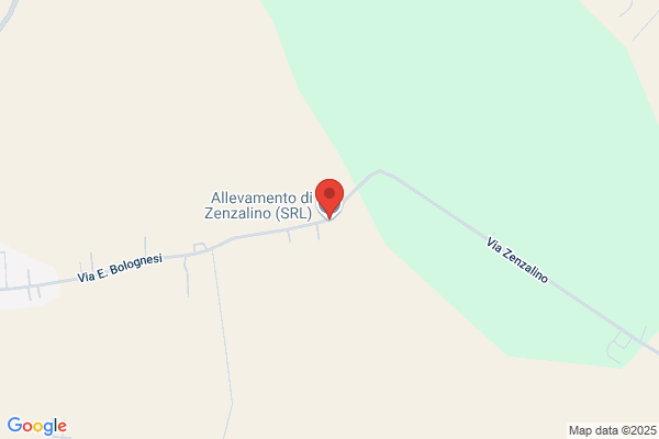 Tenuta Di Zenzalino S. Semplice