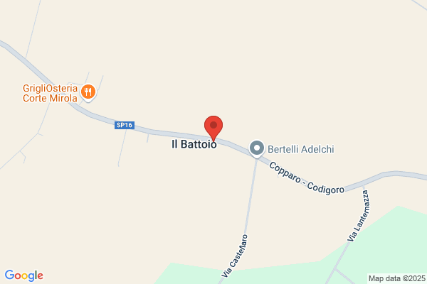 Bruni dario