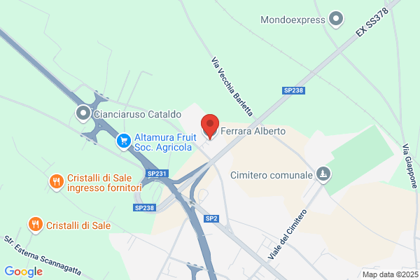 Ferrara Alberto