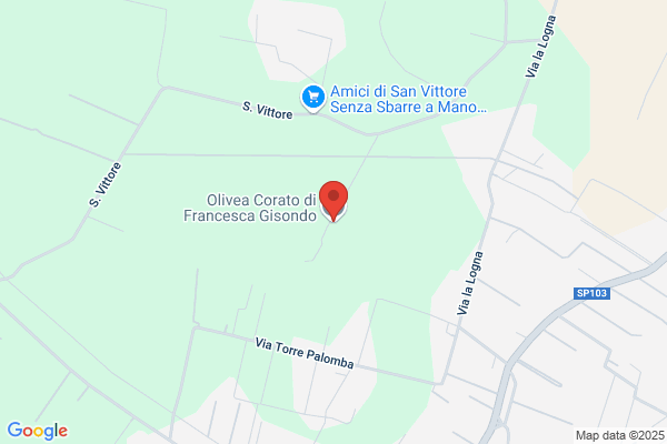 Oleificio Cooperativa Riforma Fondiaria