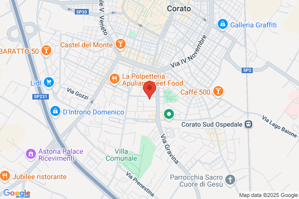 La Copisteria Di Roselli Giuseppe