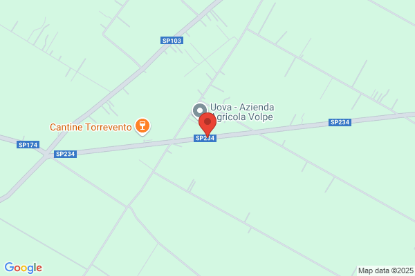 Soccorso Stradale Aci