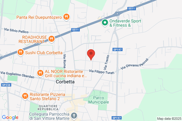 Turchi evasio (Arch.)