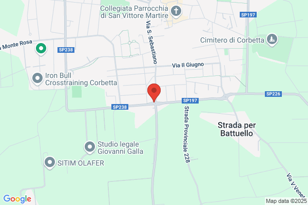 Panella efisio