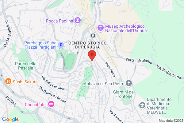 Salone Del Cane 2 Sas Di Pericoli