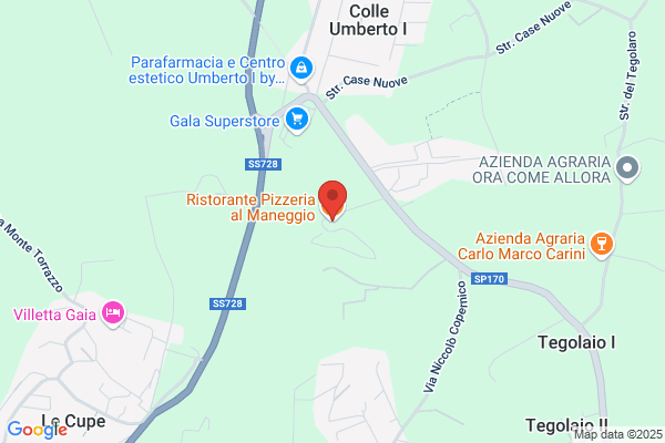 Ristorante Pizzeria  Al Maneggio