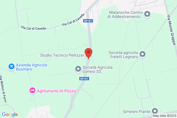 Pellizzer  Aldo