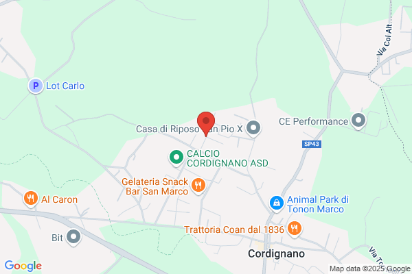 Felet Silvio (Dr.)