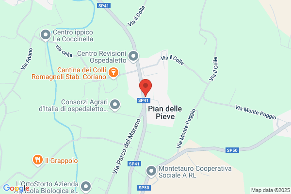 Zetabi Di Zannoni Filippo E Guglielmo S.N.C.