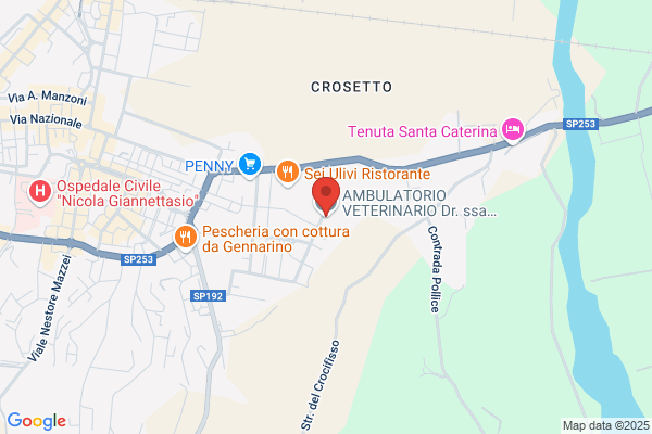 Ambulatorio Veterinario De Falco