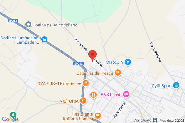 Cdm Srl Centro Diagnostico Meridionale