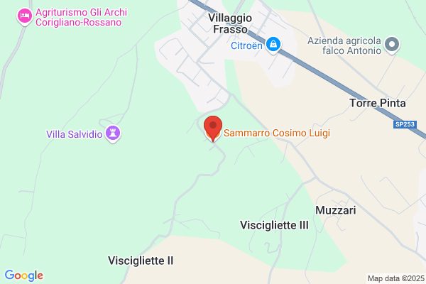 Lucido cosimo