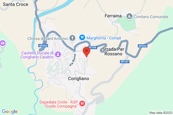 Sviluppato domenico