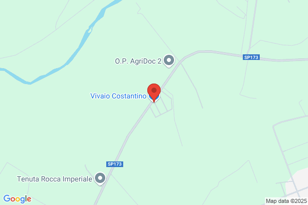 Vivaio Costantino